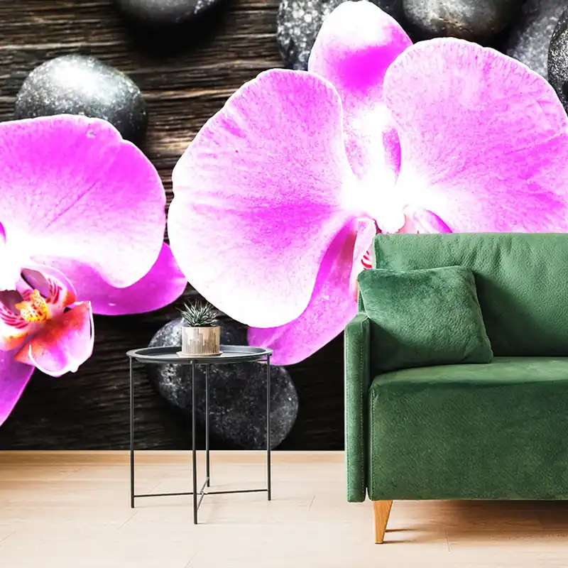 Nowość Fototapeta piękna orchidea i kamienie