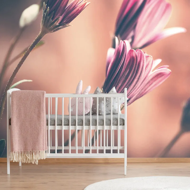 Premium Fototapeta delikatne różowe kwiaty