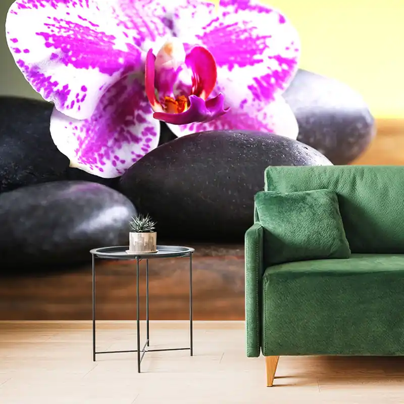 Fototapeta orchidea i czarne kamienie Cena promocyjna