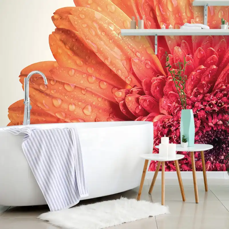 Tapeta Gerbera z kroplami wody Obniżka ceny