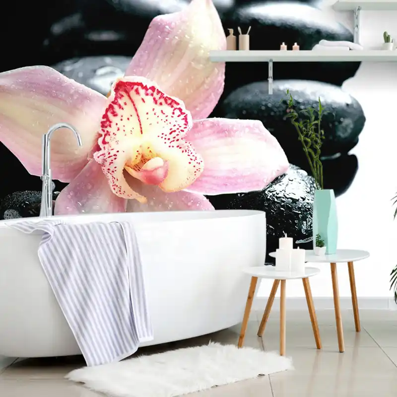 Sprawdź teraz Fototapeta egzotyczna orchidea