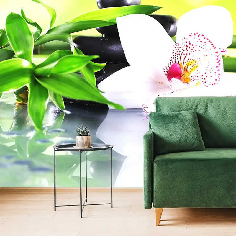 Tylko do końca tygodnia Fototapeta japońska orchidea