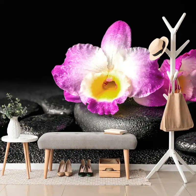 Fototapeta orchidea na kamieniach Zen Tani