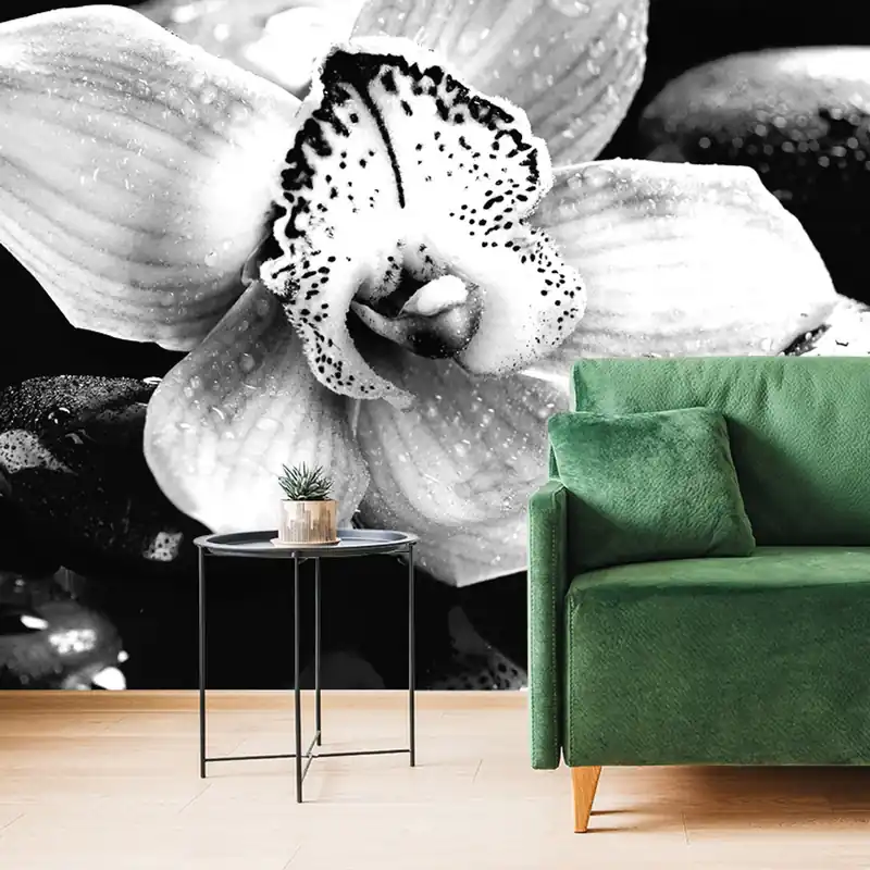 Samoprzylepna fototapeta czarno-biała egzotyczna orchidea Obniżka ceny