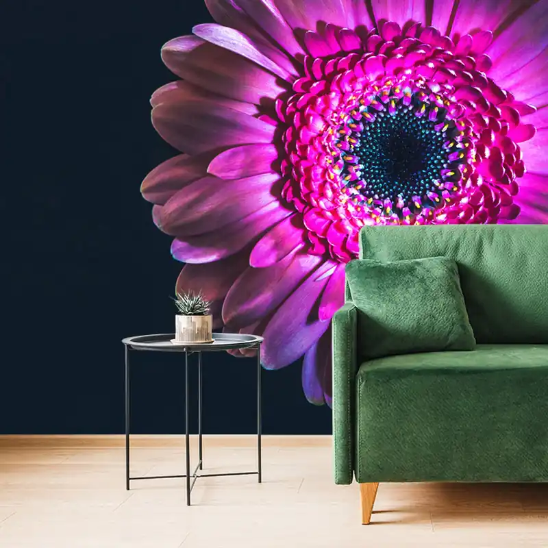 Ekspresowa dostawa Samoprzylepna tapeta purpurowa gerbera