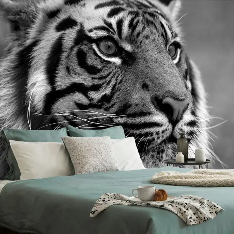 Do wyczerpania zapasów Samoprzylepna fototapeta bengalski czarno-biały tygrys