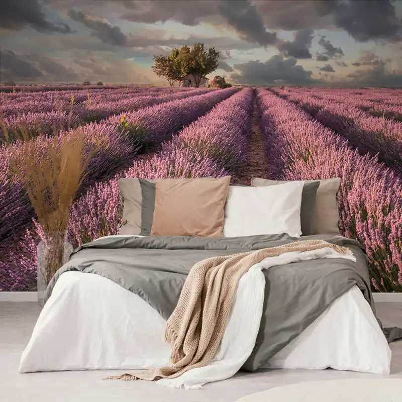 Oferta Samoprzylepna tapeta krajobraz pól lawendowych