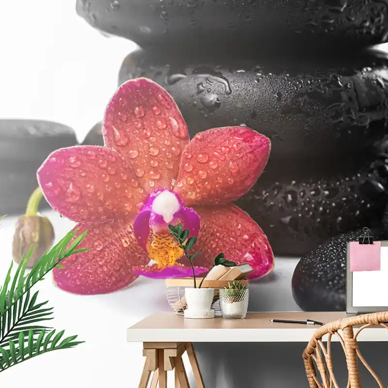 Samoprzylepna fototapeta orchidea i zen kamienie na białym tle Łatwy zwrot