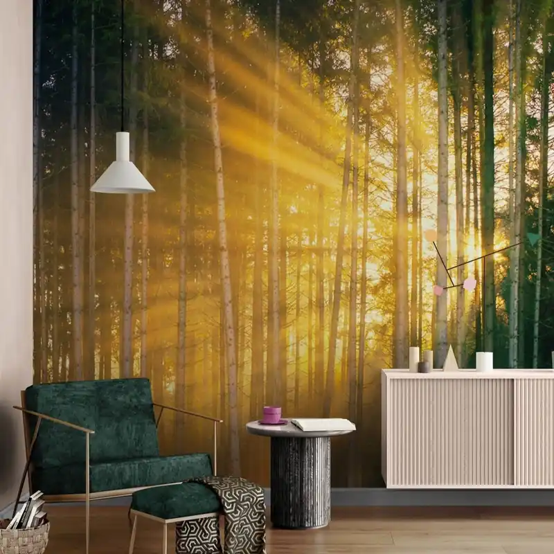 Samoprzylepna fototapeta słońce za drzewami Wyjątkowa oferta