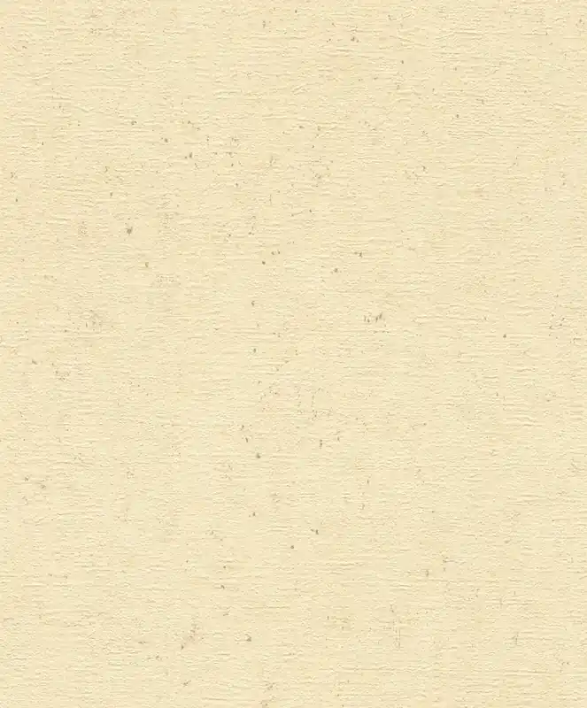 Premium Tapeta 520842 Rasch Concrete
