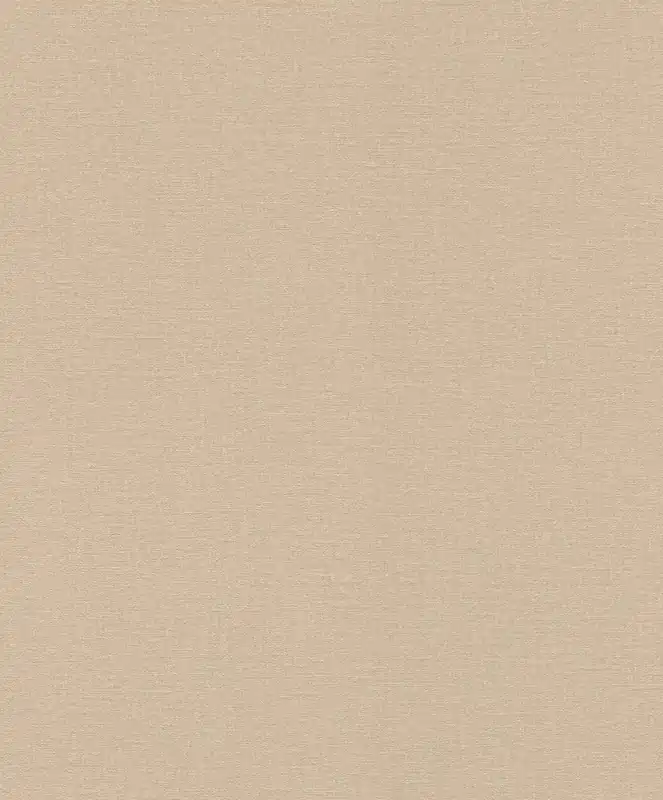 Ostatnia szansa Tapeta 555882 Rasch Lirico