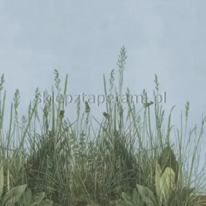Super okazja FOTOTAPETA MORNING MIST MR PERSWALL