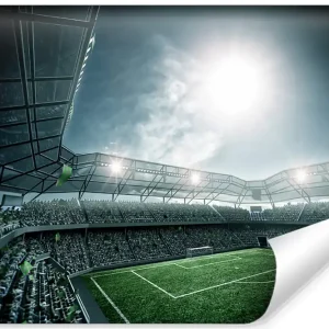 Fototapeta Stadion Piłka Nożna Nie przegap