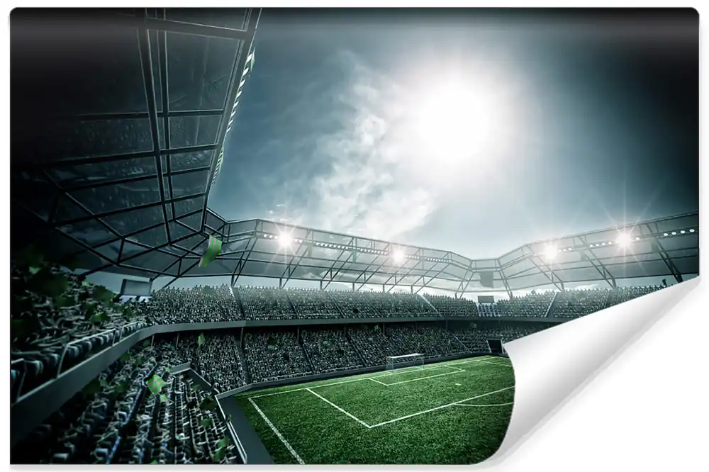 Fototapeta Stadion Piłka Nożna Nie przegap