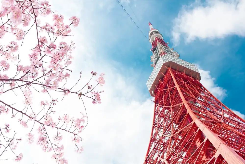 Popularny Fototapeta Tokyo Tower Na Tle Nieba