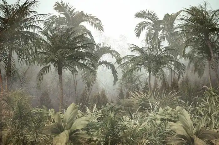 Fototapeta Tropical Trees And Leaves For Digital Printing Wallpaper, Custom Design Wallpaper - 3D Do wyczerpania zapasów
