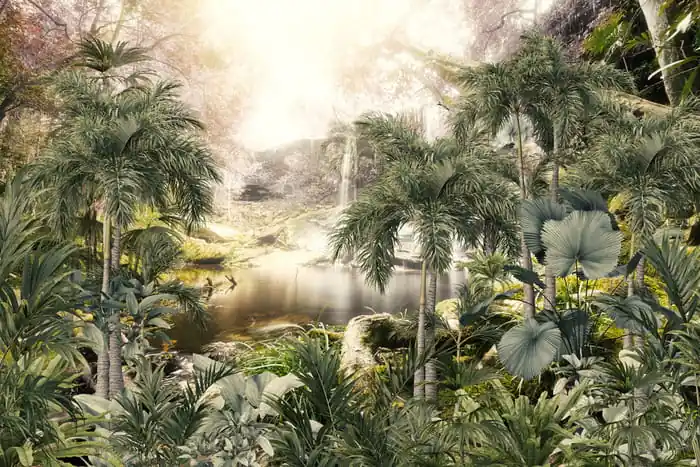 Wyprzedaż Fototapeta Tropical Trees And Leaves For Digital Printing Wallpaper, Custom Design Wallpaper - 3D