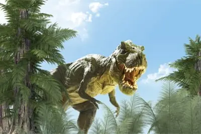 Fototapeta Wielki Dinozaur T-Rex I Palmy Hit cenowy