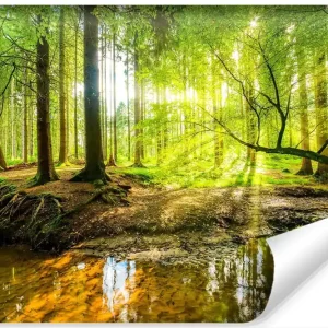 Wybór klientów Fototapeta Wiosną W Efekcie 3D