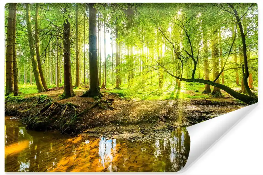 Wybór klientów Fototapeta Wiosną W Efekcie 3D