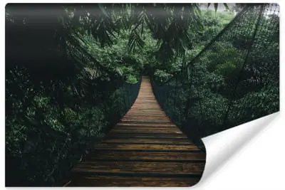 Fototapeta Wiszący Most W Lesie Kup online