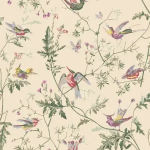 Popularny Tapeta ścienna Hummingbirds 100/14071 Cole & Son