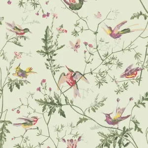 Tapeta ścienna Hummingbirds 100/14070 Cole & Son Oferta