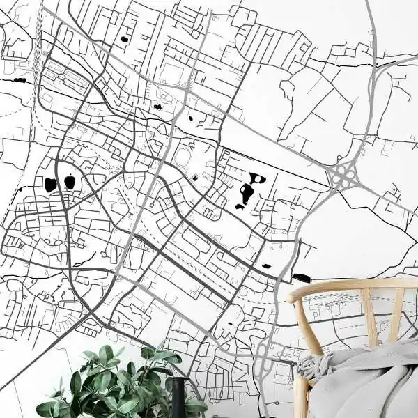 Kup online Tapeta na ścianę - MAPA TYCHY