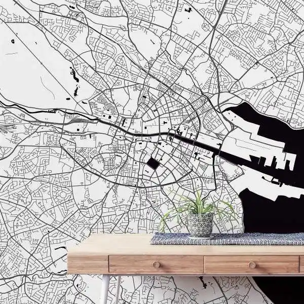 Tapeta na ścianę - MAPA DUBLIN Ostatnia szansa