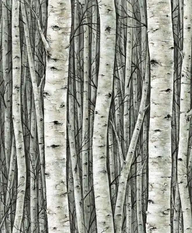 Tapeta 35380 Timber Tylko do końca tygodnia