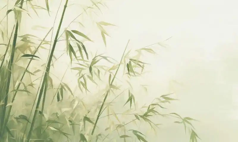 Zniżka Mural fototapeta 22016-07-02 Bamboo - Big Pictures / DY9113-07-02 Zen Breeze - ZOOM 2