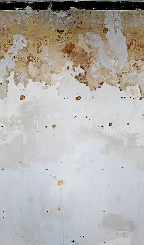 Mural 47226 Smart Art EASY Sprawdź teraz