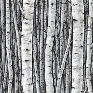 Zamów teraz Tapeta 35397 Timber