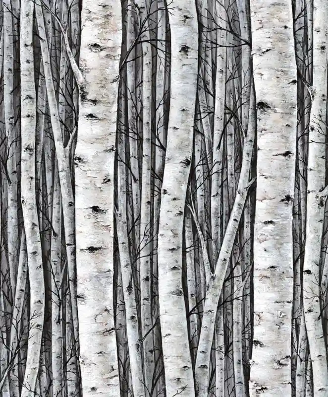 Zamów teraz Tapeta 35397 Timber