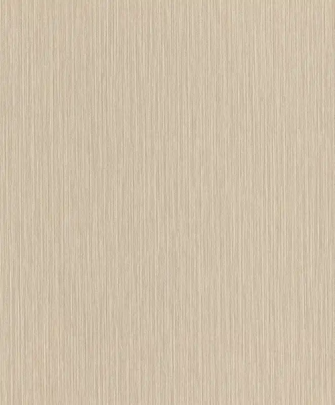 TAPETA 537635 CURIOSITY Wyjątkowa oferta