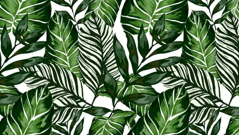 Okleina Meblowa 14126 / 55790 Venilia HOUSE PLANTS szer 67,5 cm Ograniczona ilość