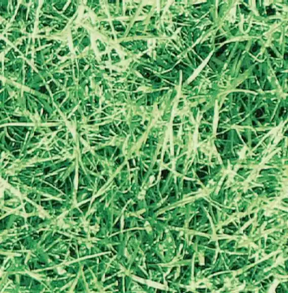Zamów teraz Okleina Meblowa 11567 / Gekkofix grass szer 90 cm