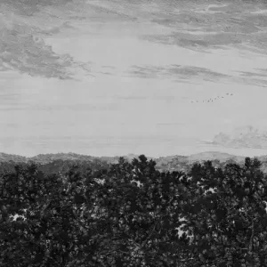 Ograniczona ilość MURAL 658-31 Löfstad - Oak view graphite