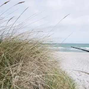 Fototapeta na flizelinie MS-5-3204 Falochron na plaży 375 x 250 cm Tani