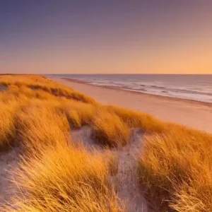Wybór klientów Fototapeta na flizelinie MS-5-3209 High Dunes 375 x 250 cm