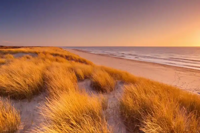 Wybór klientów Fototapeta na flizelinie MS-5-3209 High Dunes 375 x 250 cm