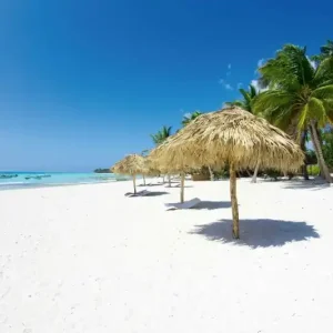 Oferta Fototapeta na flizelinie MS-5-3218 Plaża z palmami 375 x 250 cm
