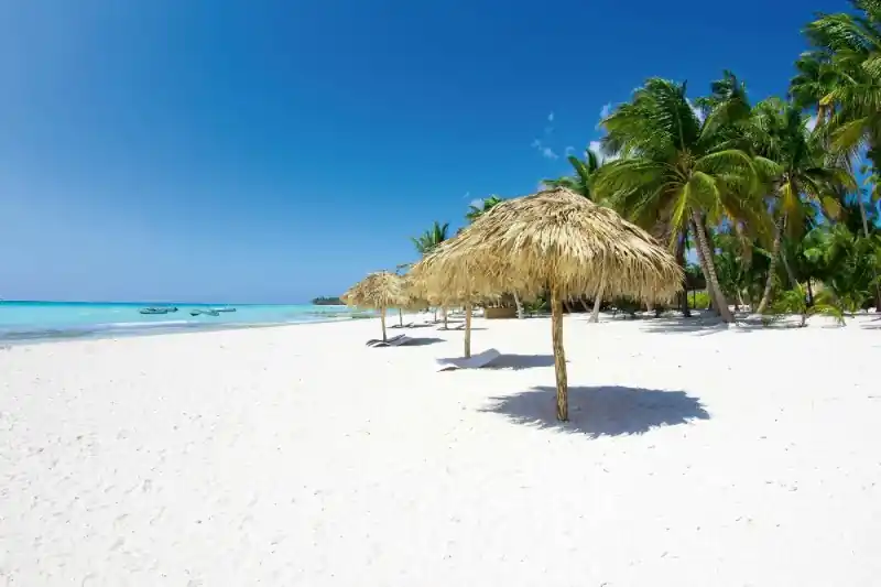 Oferta Fototapeta na flizelinie MS-5-3218 Plaża z palmami 375 x 250 cm