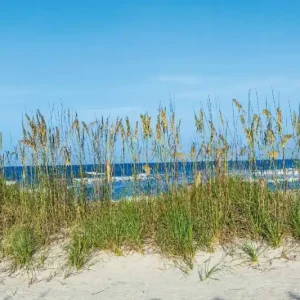 Fototapeta na flizelinie MS-5-3220 Trawa na plaży 375 x 250 cm Bezpieczne zakupy