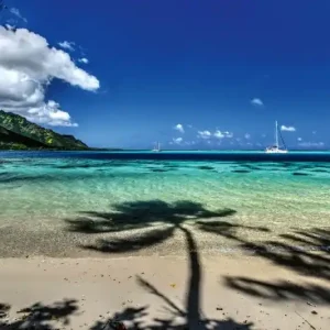Fototapeta na flizelinie MS-5-3221 Moorea Beach 375 x 250 cm Zamów teraz