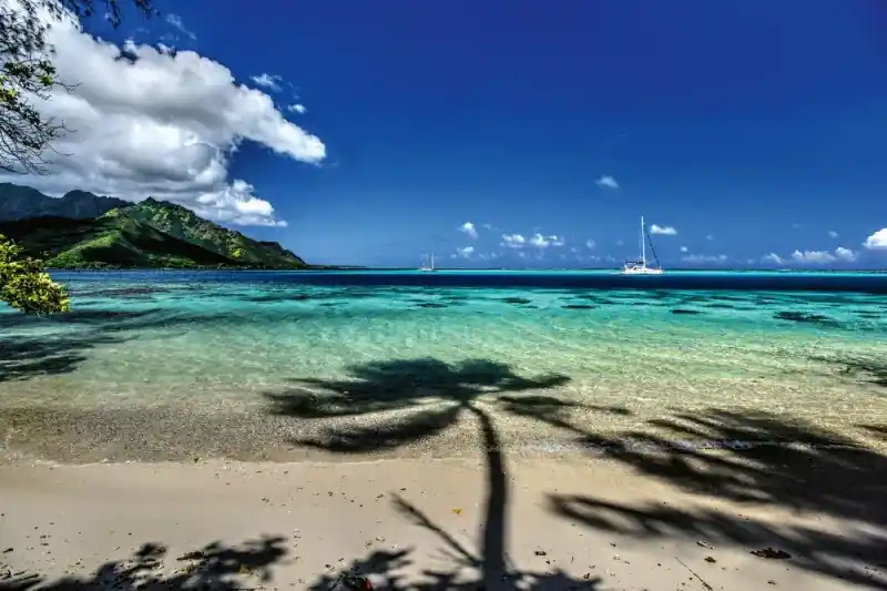 Fototapeta na flizelinie MS-5-3221 Moorea Beach 375 x 250 cm Zamów teraz