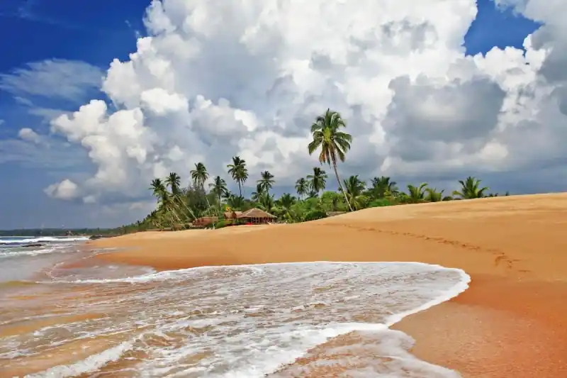 Ostatnia szansa Fototapeta na flizelinie MS-5-3227 Dzika plaża Sri Lanki 375 x 250 cm