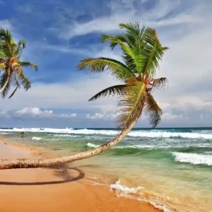 Oferta Fototapeta na flizelinie MS-5-3228 Piękna rozległa plaża 375 x 250 cm