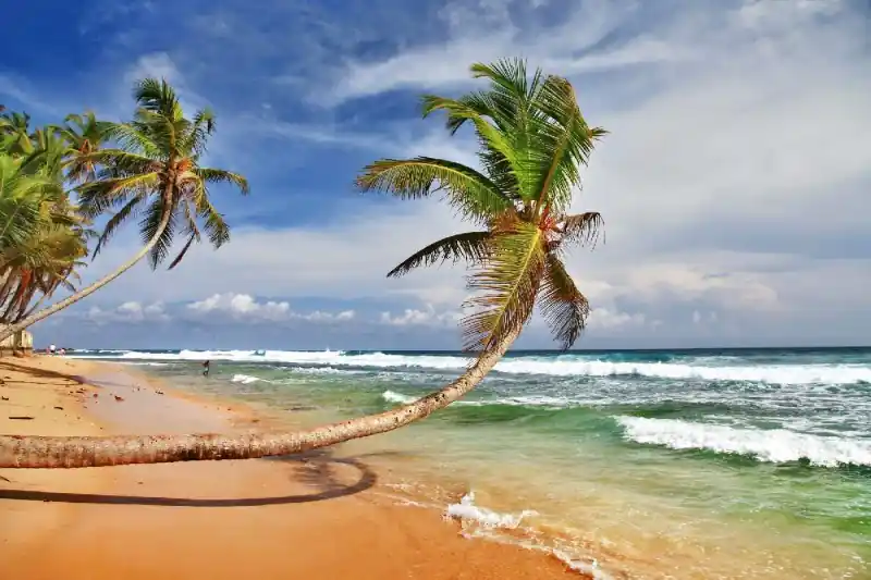 Oferta Fototapeta na flizelinie MS-5-3228 Piękna rozległa plaża 375 x 250 cm