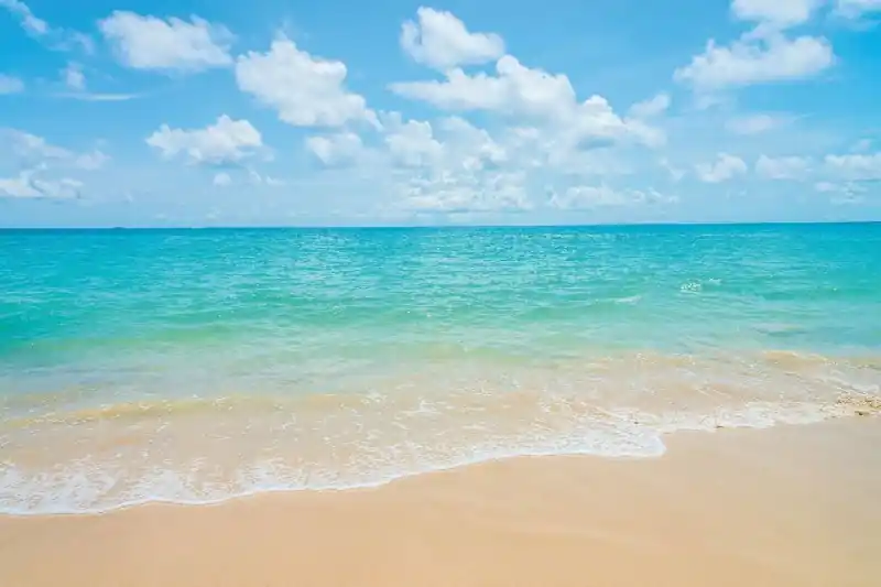Bestseller Fototapeta na flizelinie MS-5-3231 Tropikalna plaża i morze 375 x 250 cm
